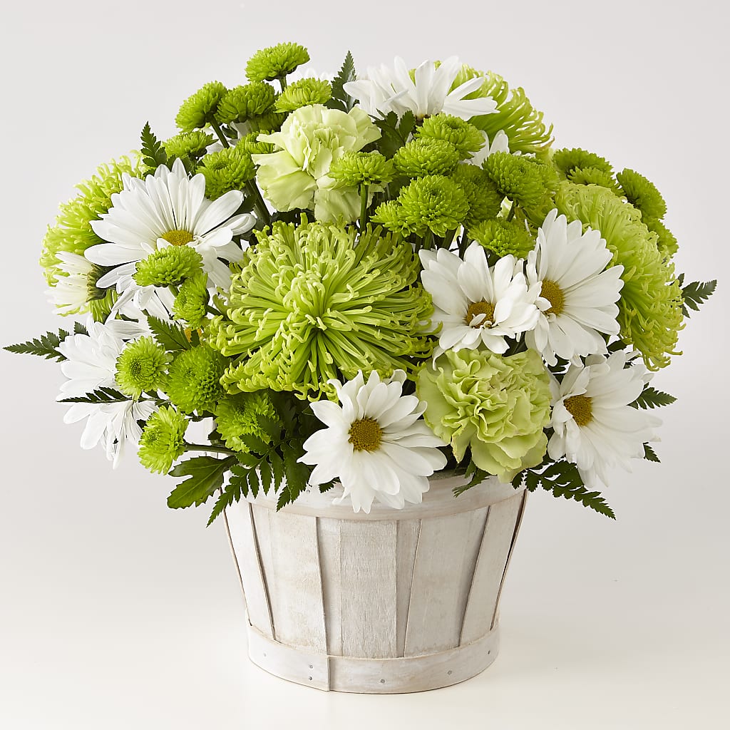 Lucky Charm Basket (Standard) – Cg Rain Florist, Cedar Grove NJ