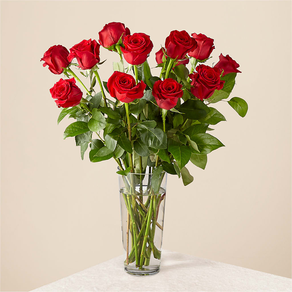 Long Stem Red Rose Bouquet – Cg Rain Florist, Cedar Grove NJ