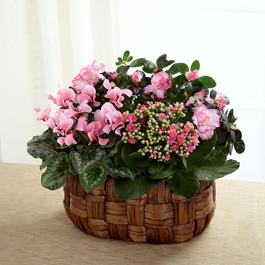 Pink Assortment – Cg Rain Florist, Cedar Grove NJ