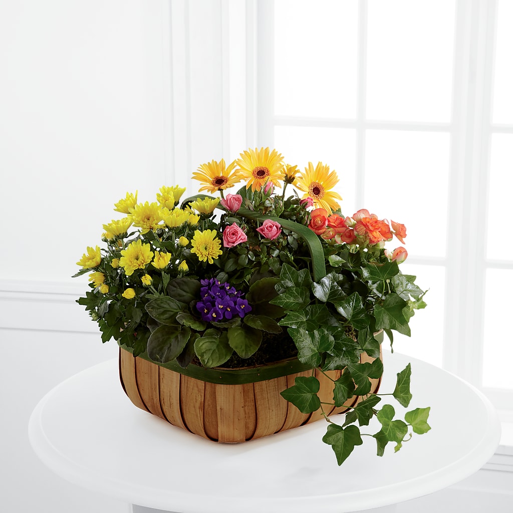 Gentle Blossoms Basket – Cg Rain Florist, Cedar Grove NJ