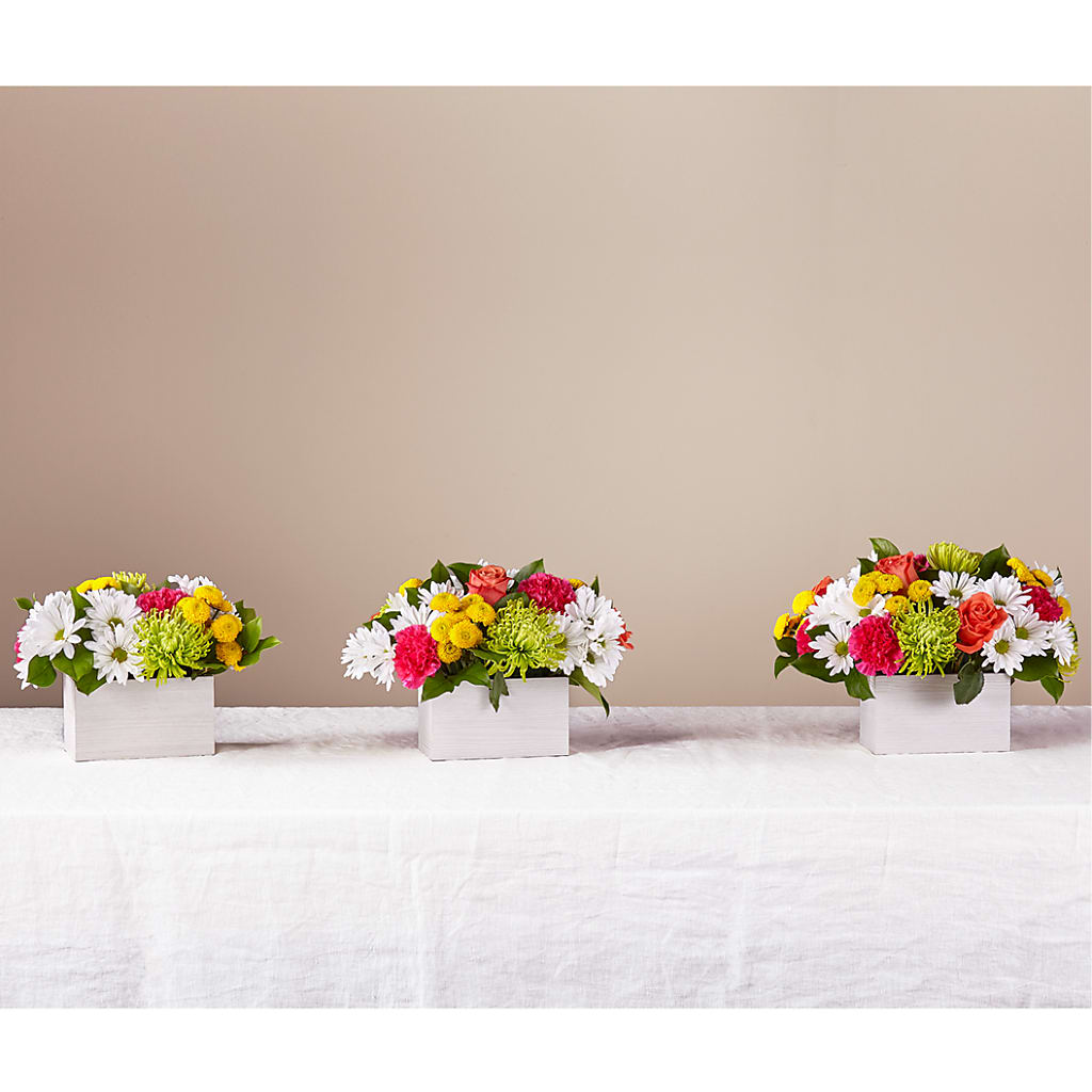 Sorbet Bouquet – Cg Rain Florist, Cedar Grove NJ