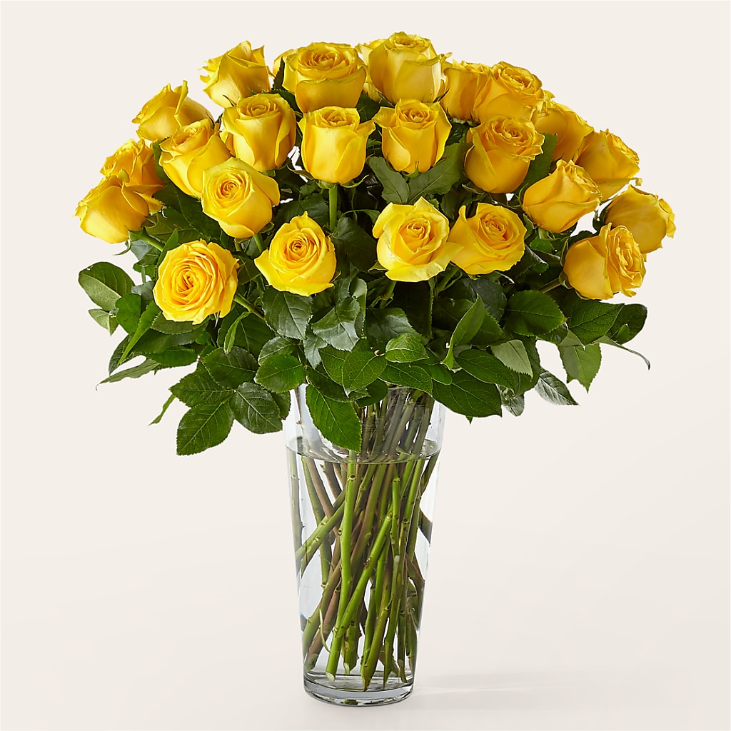 Long Stem Yellow Rose Bouquet – Cg Rain Florist, Cedar Grove NJ