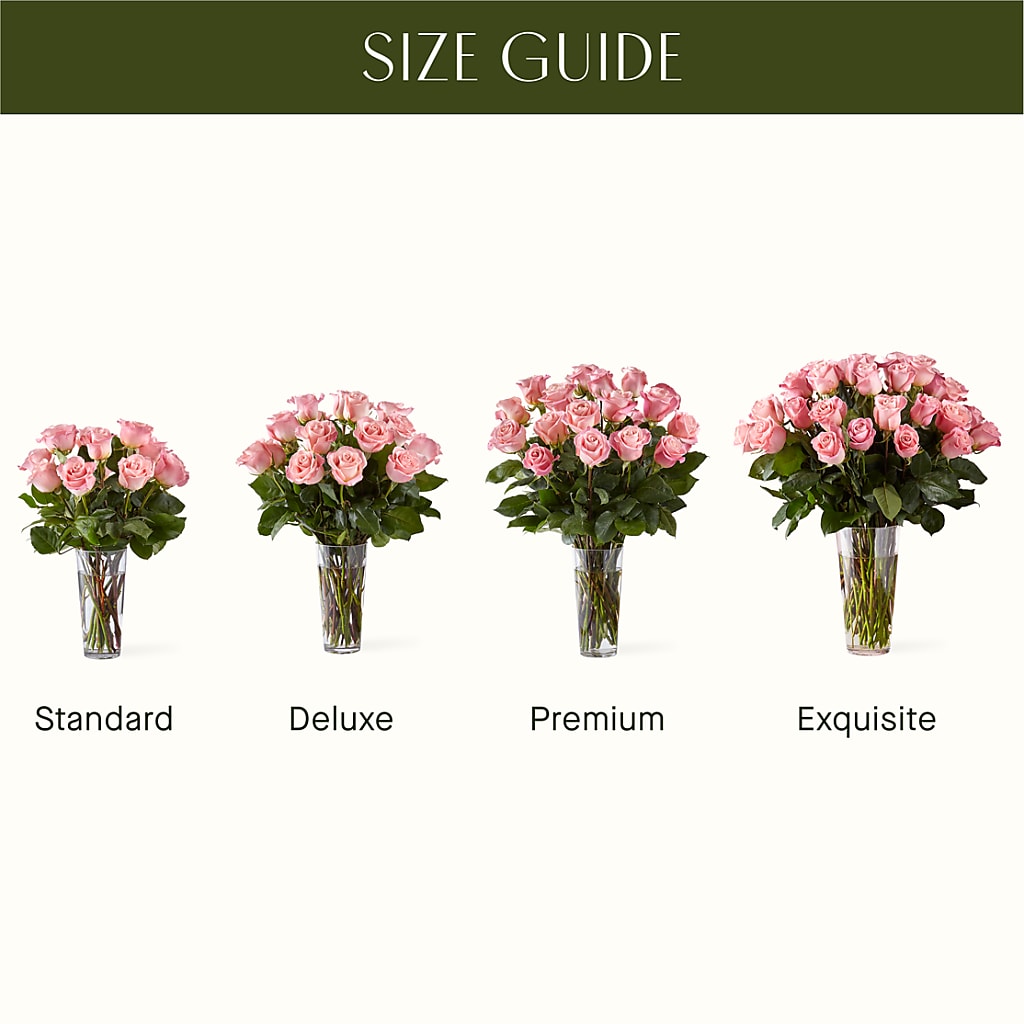 Long Stem Pink Rose Bouquet – Cg Rain Florist, Cedar Grove NJ