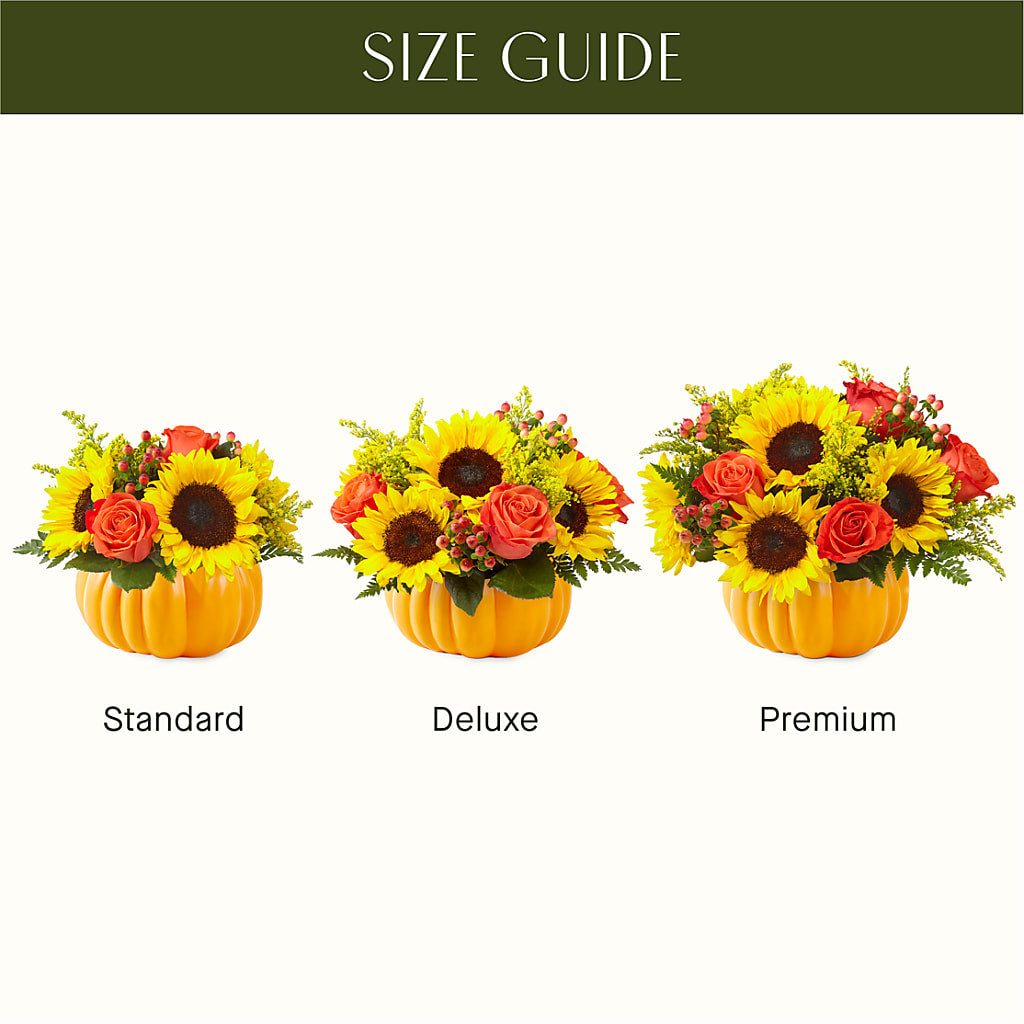 Pick of the Patch Pumpkin Bouquet – Cg Rain Florist, Cedar Grove NJ