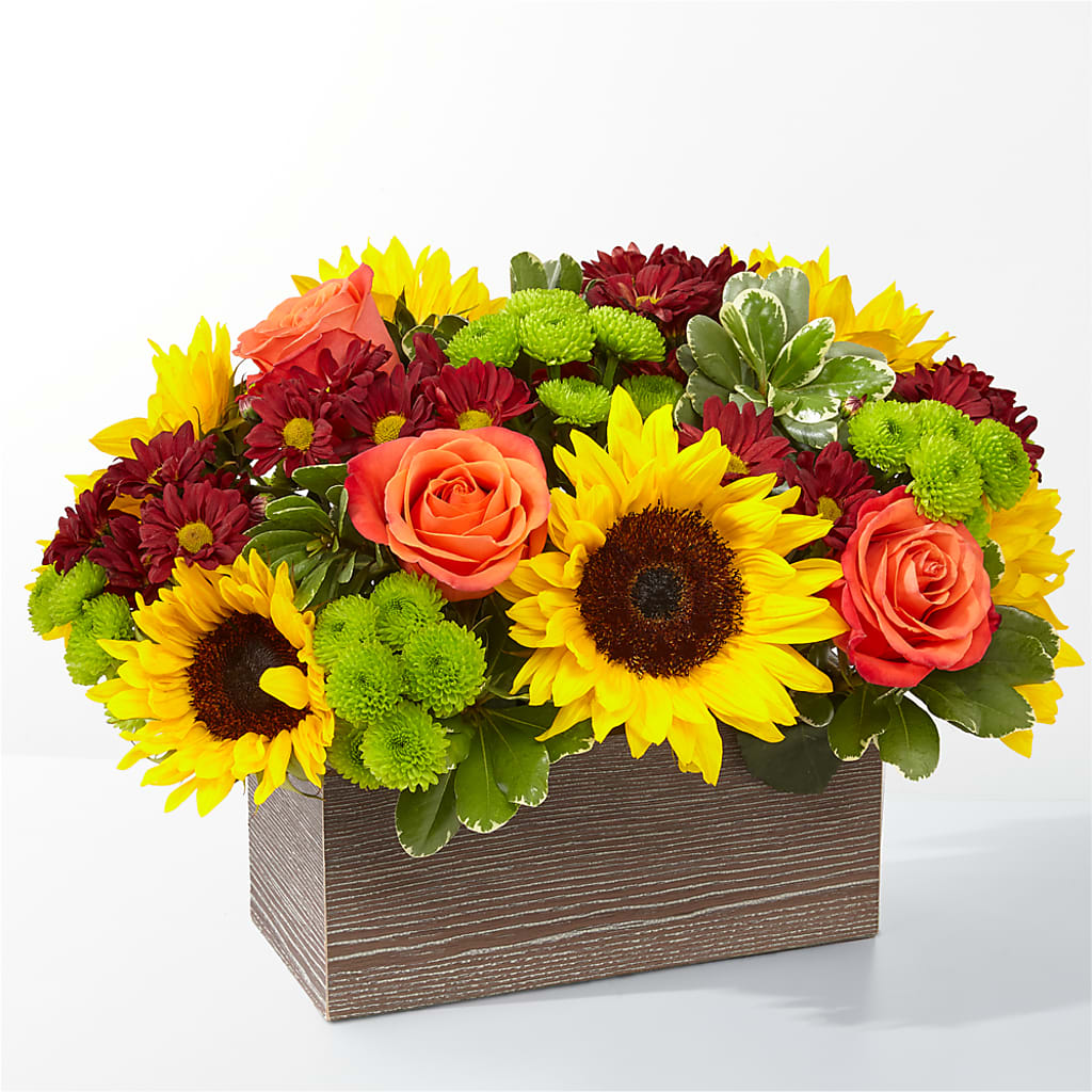 Happy Harvest Garden – Cg Rain Florist, Cedar Grove NJ