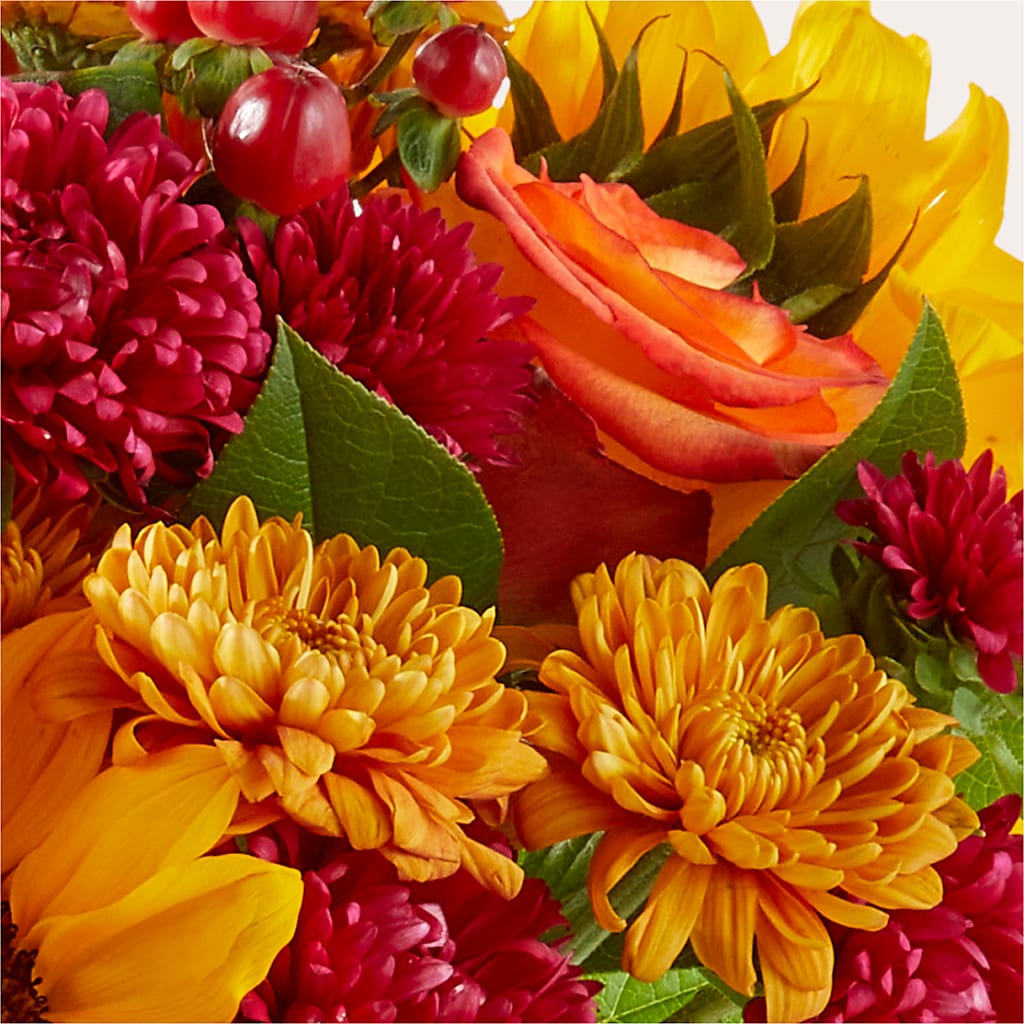 Sweater Season - A Florist Original – Cg Rain Florist, Cedar Grove NJ