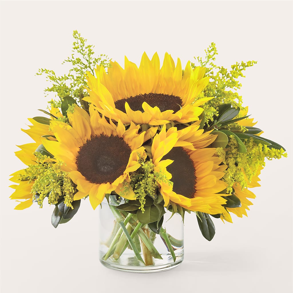 Beaming Sunflower Bouquet – Cg Rain Florist, Cedar Grove NJ
