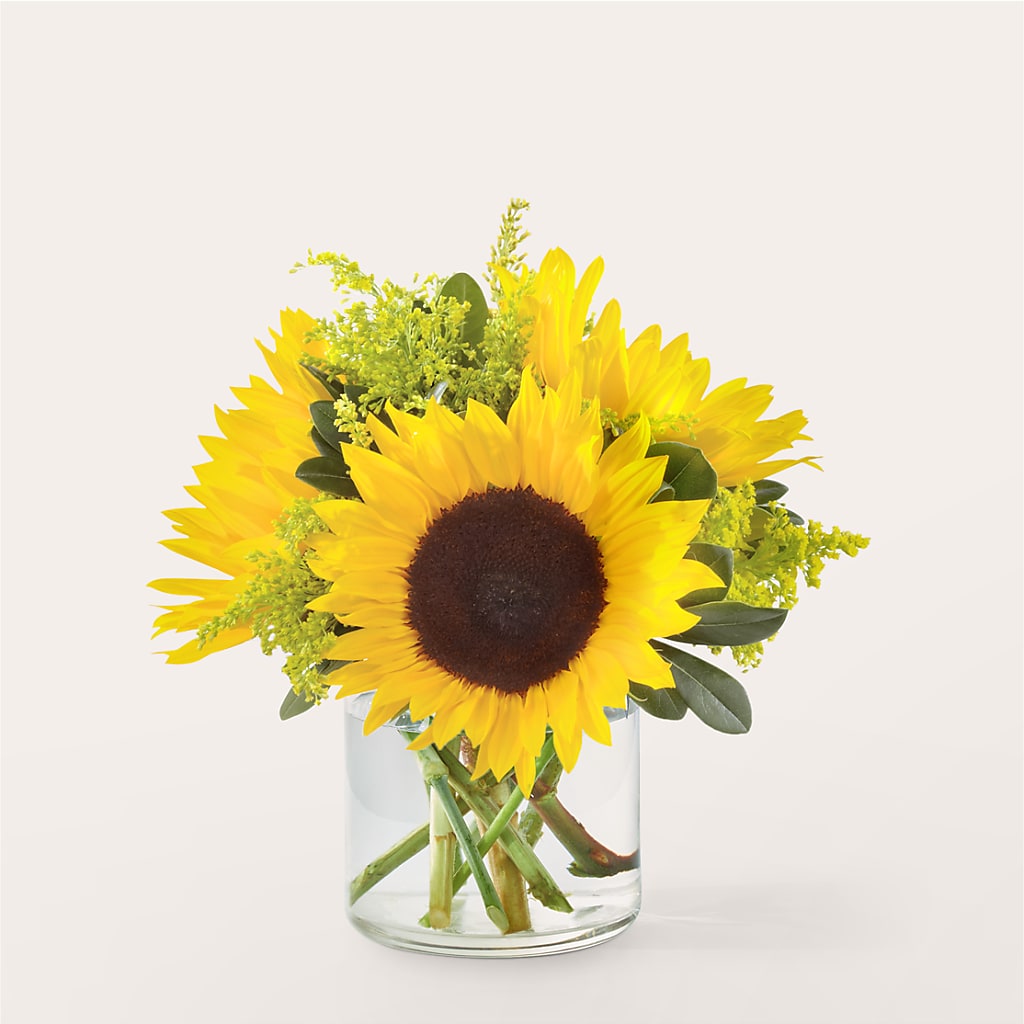 Beaming Sunflower Bouquet – Cg Rain Florist, Cedar Grove NJ