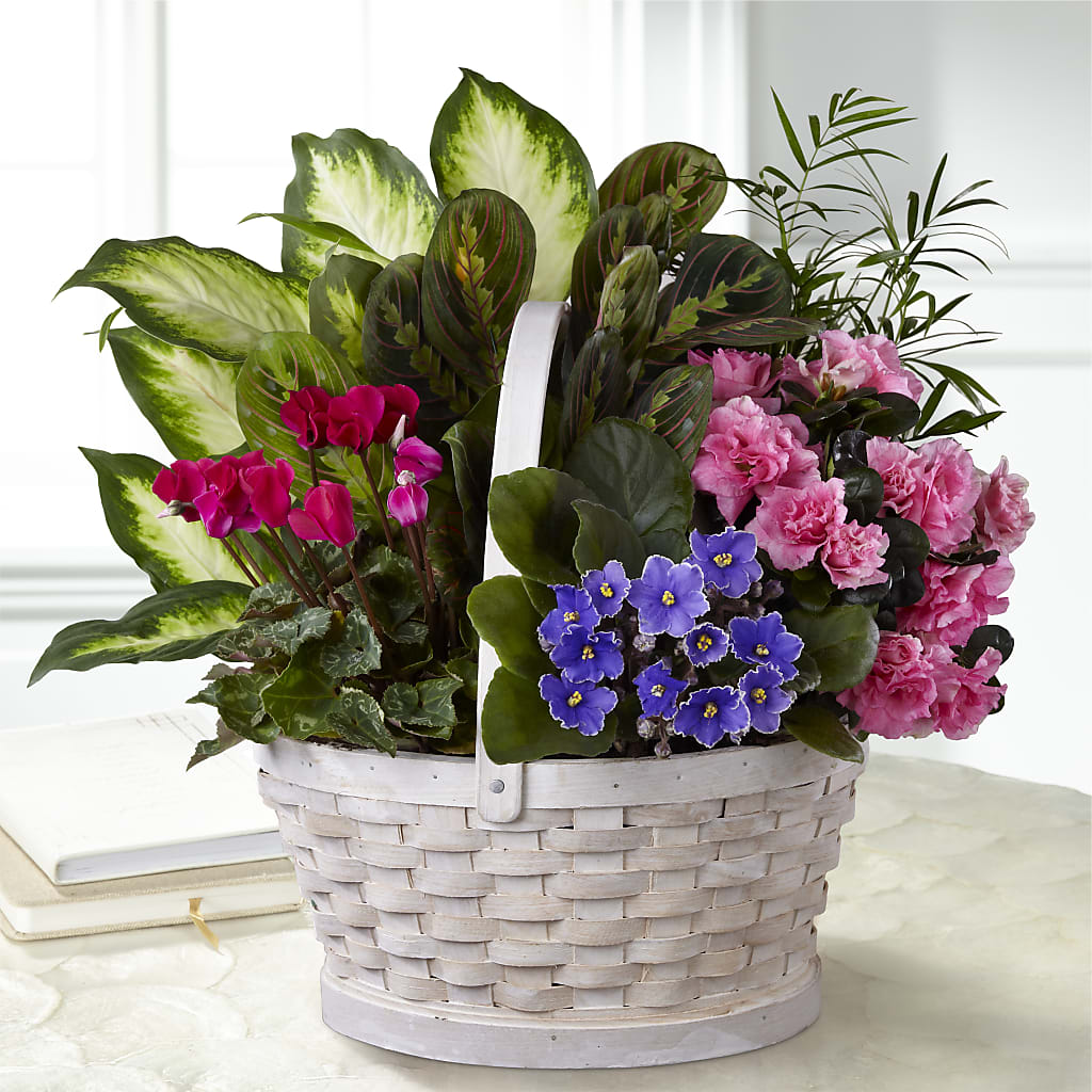 Peaceful Garden Planter – Cg Rain Florist, Cedar Grove NJ