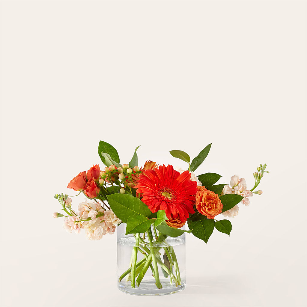 Paloma Please Bouquet – Cg Rain Florist, Cedar Grove NJ