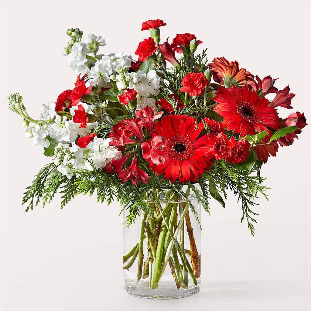 Holidaisy Bouquet – Cg Rain Florist, Cedar Grove NJ