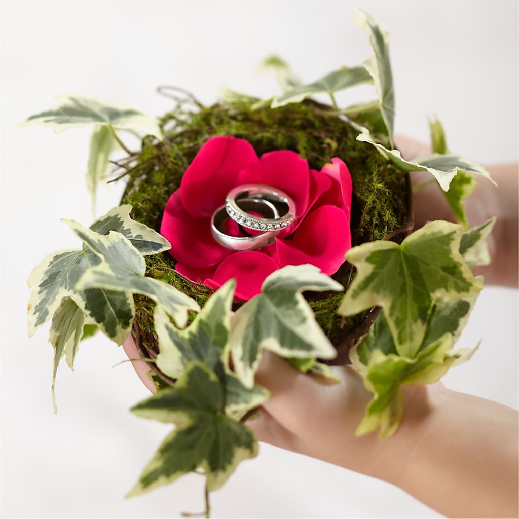 Lila Rose Ring Nest – Cg Rain Florist, Cedar Grove NJ