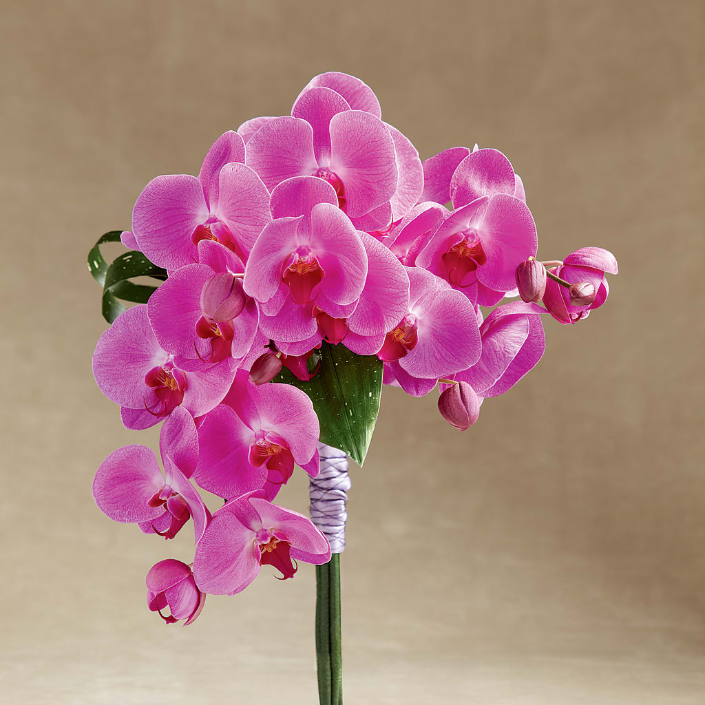 Glorious Bouquet – Cg Rain Florist, Cedar Grove NJ