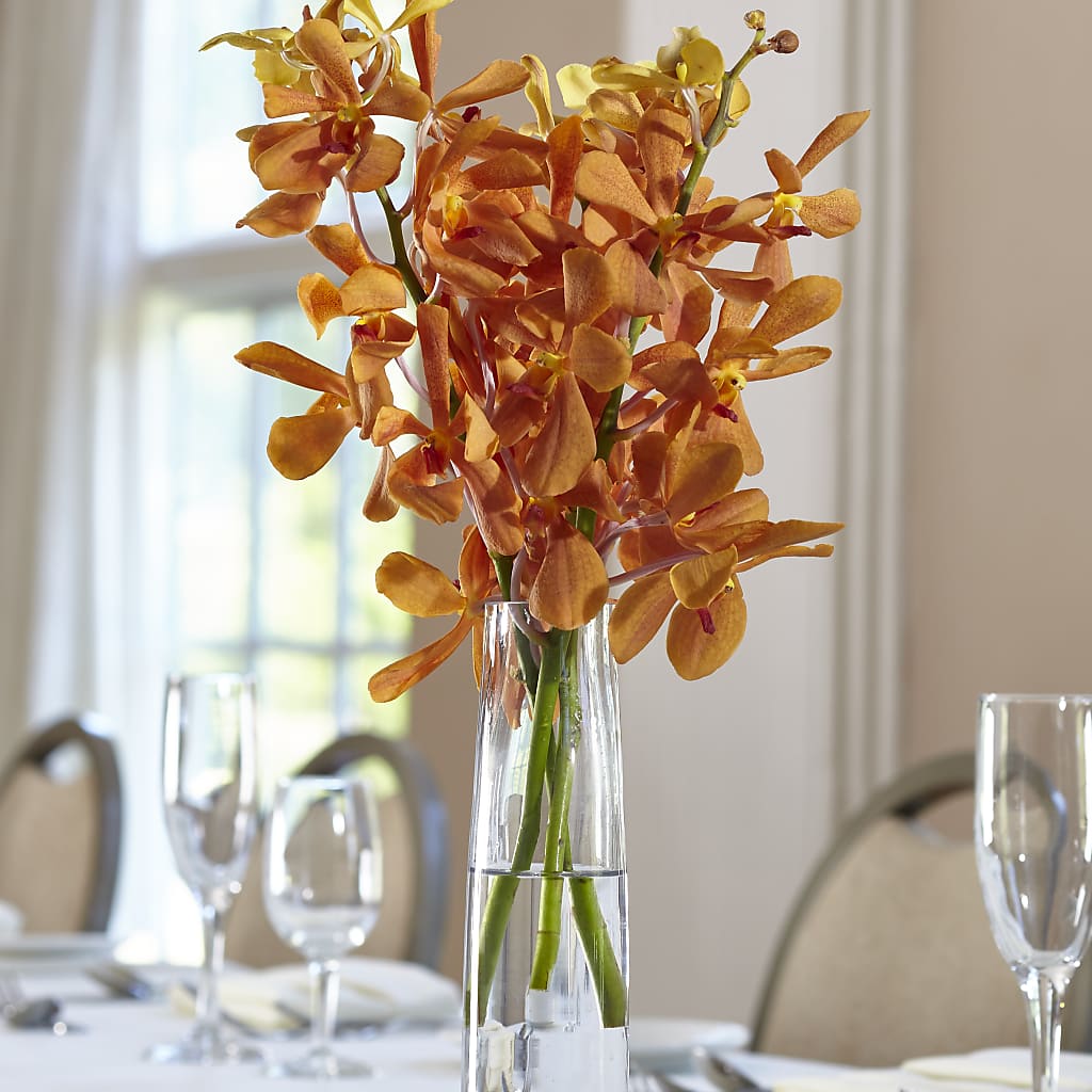 Orange Mokara Bud Vase – Cg Rain Florist, Cedar Grove NJ