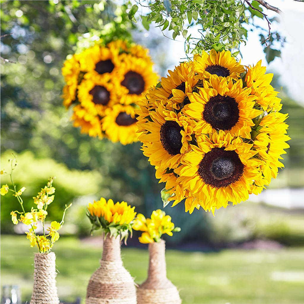 Sublime Garden Hanging Arrangement – Cg Rain Florist, Cedar Grove NJ