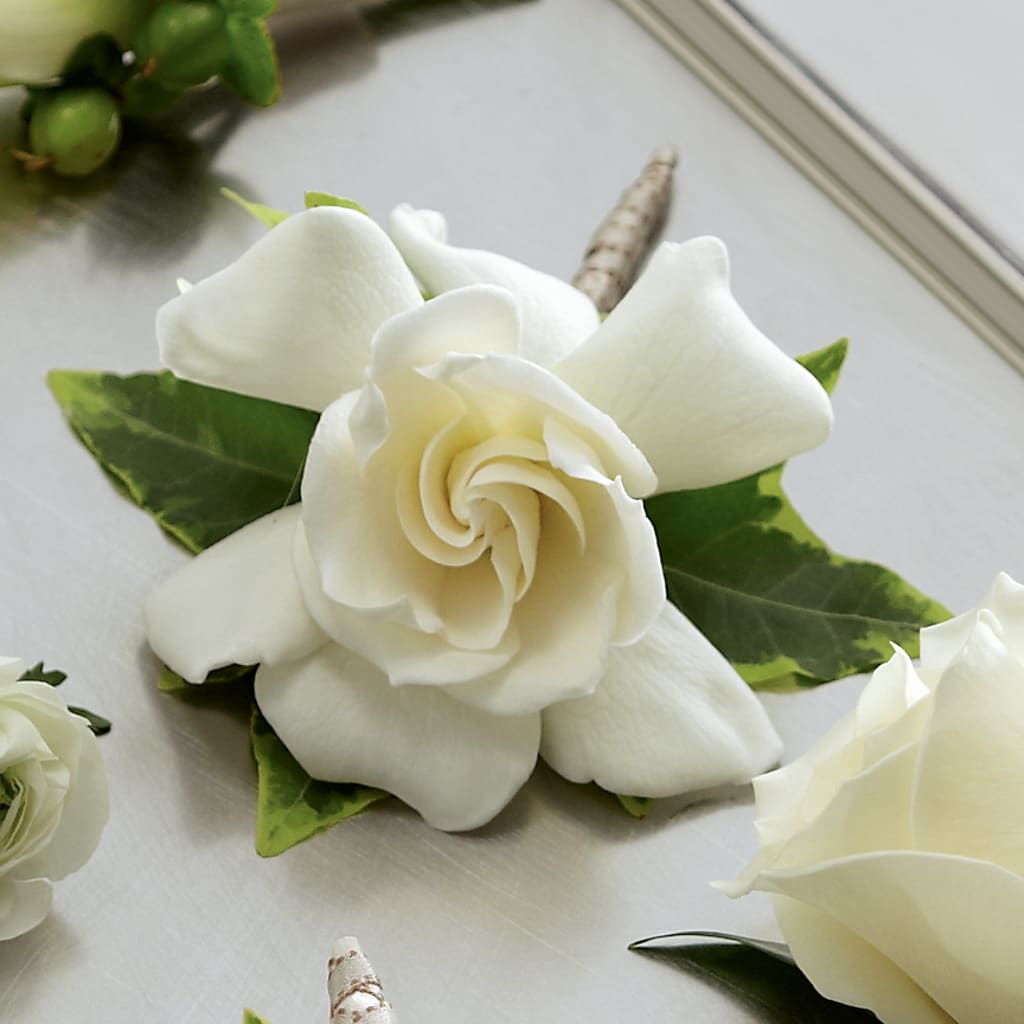 Gardenia Boutonniere – Cg Rain Florist, Cedar Grove NJ