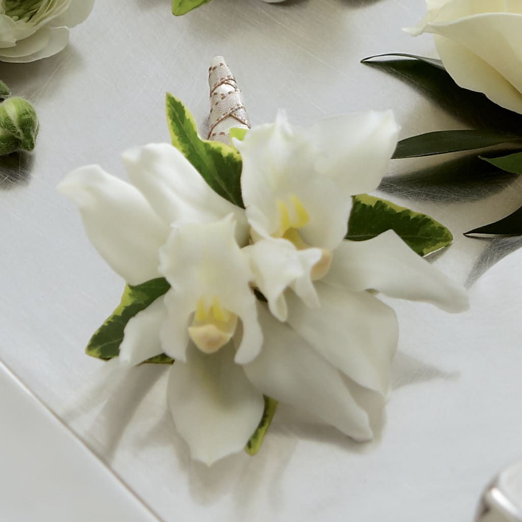 White Mini Cymbidium Boutonniere – Cg Rain Florist, Cedar Grove NJ