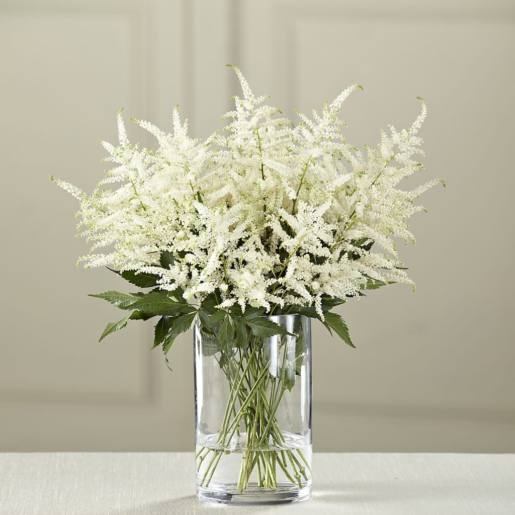 White Astilbe Bouquet – Cg Rain Florist, Cedar Grove NJ