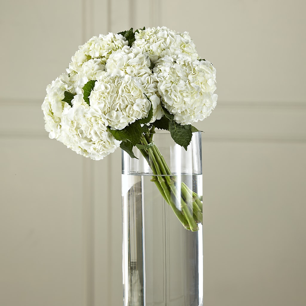 White Hydrangea Hand-Tied Bouquet – Cg Rain Florist, Cedar Grove NJ