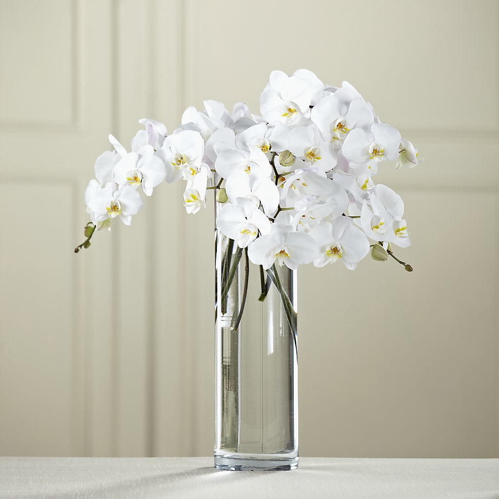 White Phalaenopsis Bouquet – Cg Rain Florist, Cedar Grove NJ