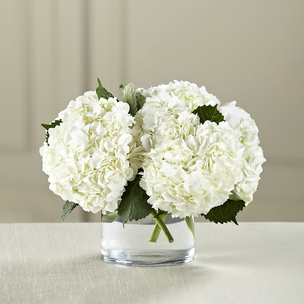 White Hydrangea Bouquet – Cg Rain Florist, Cedar Grove NJ