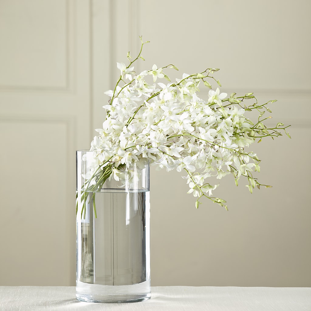White Dendrobium Bouquet – Cg Rain Florist, Cedar Grove NJ