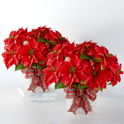 Happiest Holidays Poinsettia Bundle –  Cg Rain Florist, Cedar Grove NJ