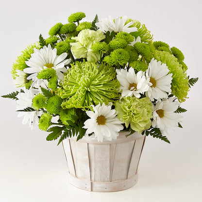 Lucky Charm Basket (Standard) –  Cg Rain Florist, Cedar Grove NJ