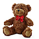 Adorable Plush Bear –  Cg Rain Florist, Cedar Grove NJ
