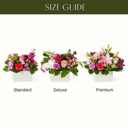 Sweetberry Box – A Florist Original –  Cg Rain Florist, Cedar Grove NJ