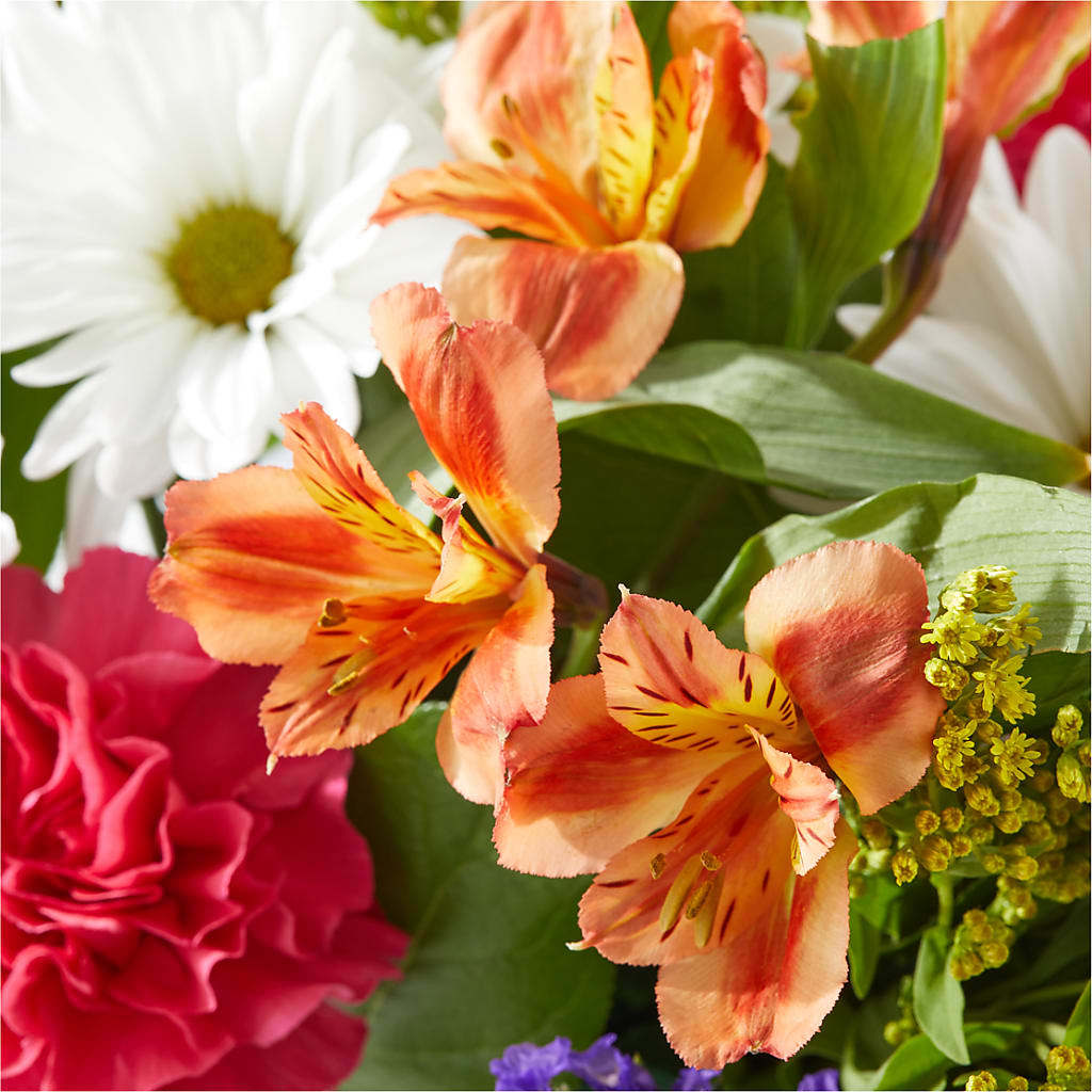 Oopsie Daisy Box Bouquet –  Cg Rain Florist, Cedar Grove NJ