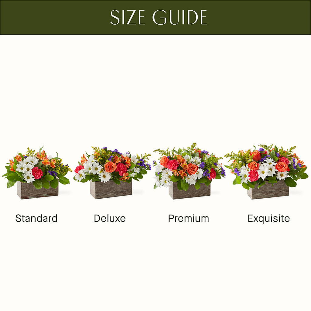 Oopsie Daisy Box Bouquet –  Cg Rain Florist, Cedar Grove NJ