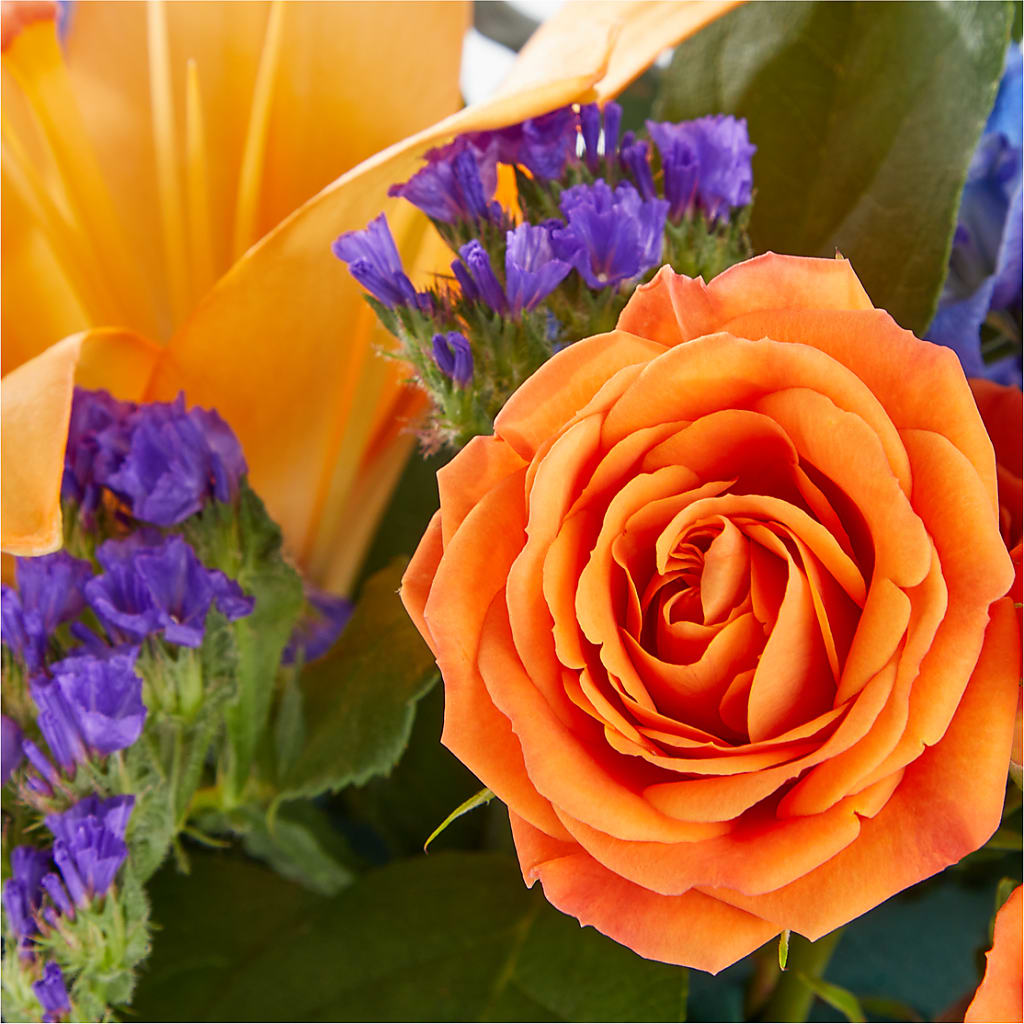 Radiant Citrus Box Bouquet –  Cg Rain Florist, Cedar Grove NJ