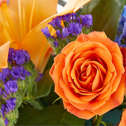 Radiant Citrus Box Bouquet –  Cg Rain Florist, Cedar Grove NJ