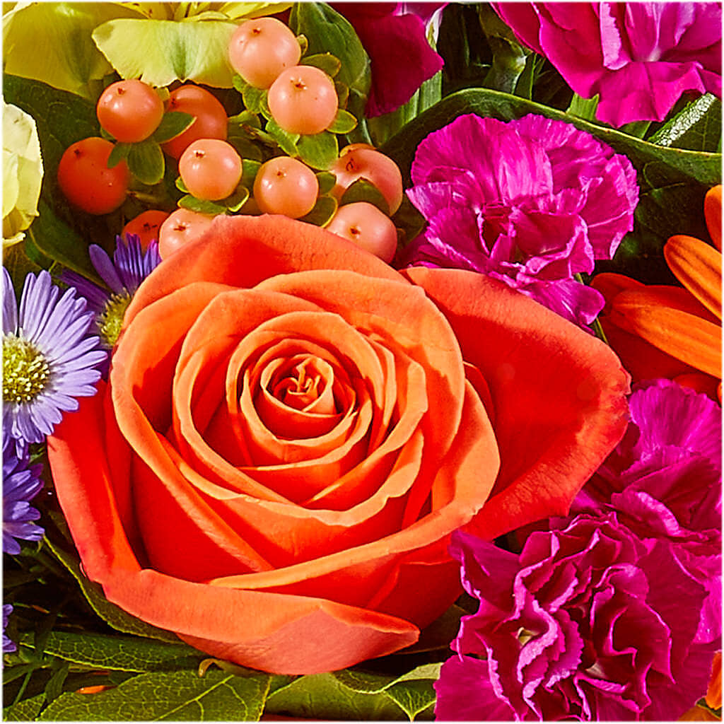 Tricks & Treats Pumpkin –  Cg Rain Florist, Cedar Grove NJ