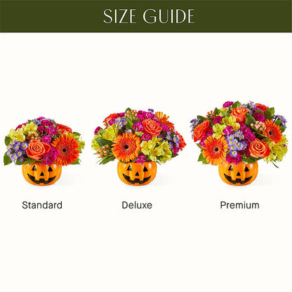 Tricks & Treats Pumpkin –  Cg Rain Florist, Cedar Grove NJ
