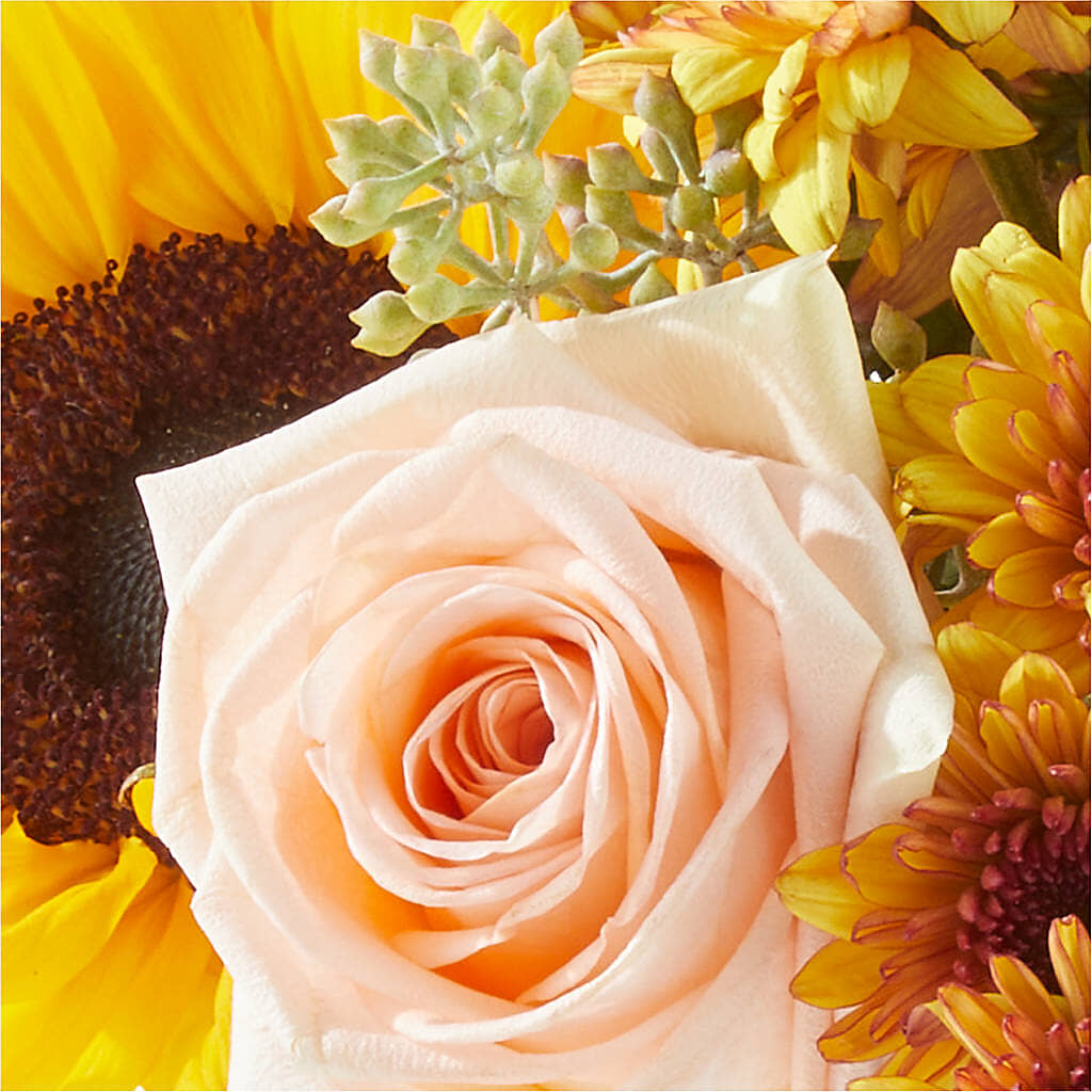 Pumpkin to Talk About Bouquet –  Cg Rain Florist, Cedar Grove NJ