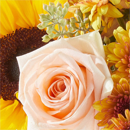 Pumpkin to Talk About Bouquet –  Cg Rain Florist, Cedar Grove NJ