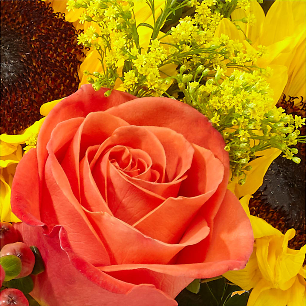 Pick of the Patch Pumpkin Bouquet –  Cg Rain Florist, Cedar Grove NJ