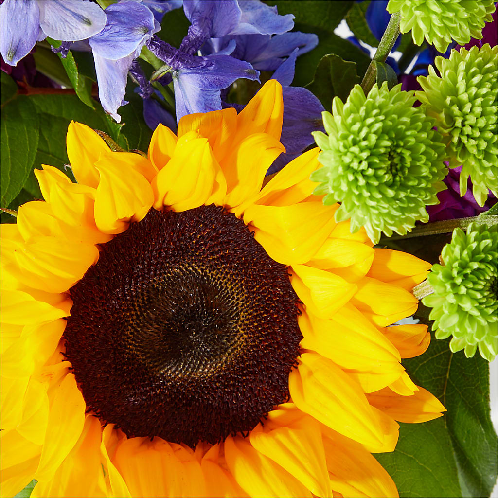 Catching Rays Bouquet –  Cg Rain Florist, Cedar Grove NJ
