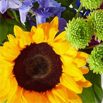 Catching Rays Bouquet –  Cg Rain Florist, Cedar Grove NJ