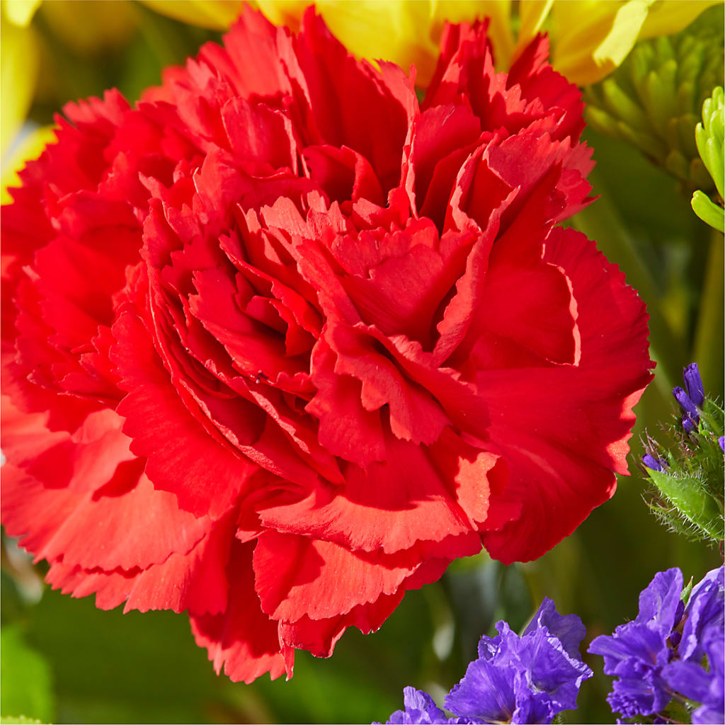 Brighter Days Bouquet –  Cg Rain Florist, Cedar Grove NJ