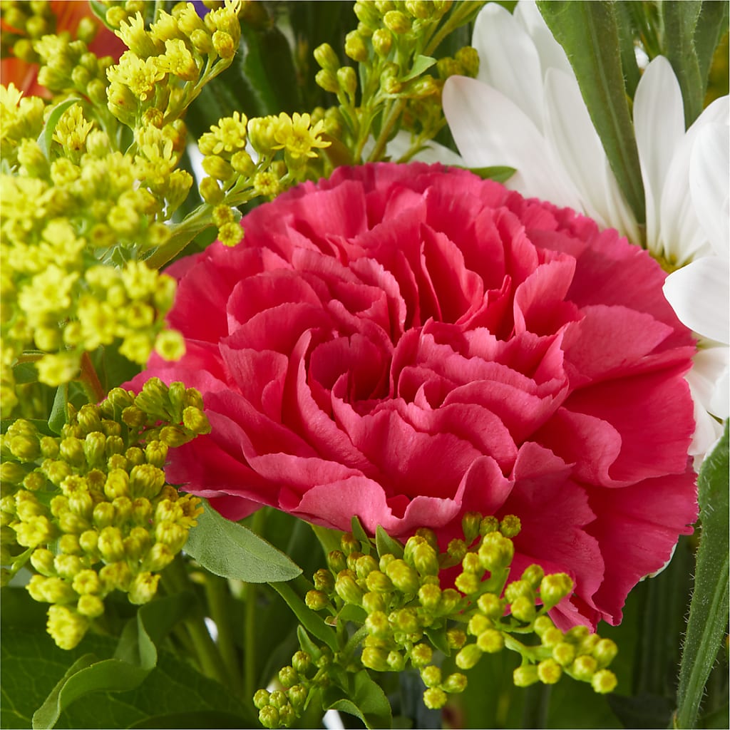 Oopsie Daisy Bouquet –  Cg Rain Florist, Cedar Grove NJ