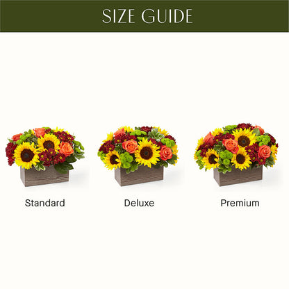 Happy Harvest Garden –  Cg Rain Florist, Cedar Grove NJ