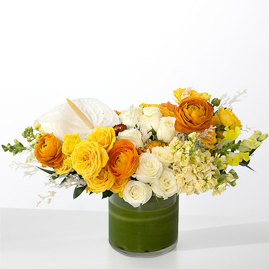 The Optimist –  Cg Rain Florist, Cedar Grove NJ