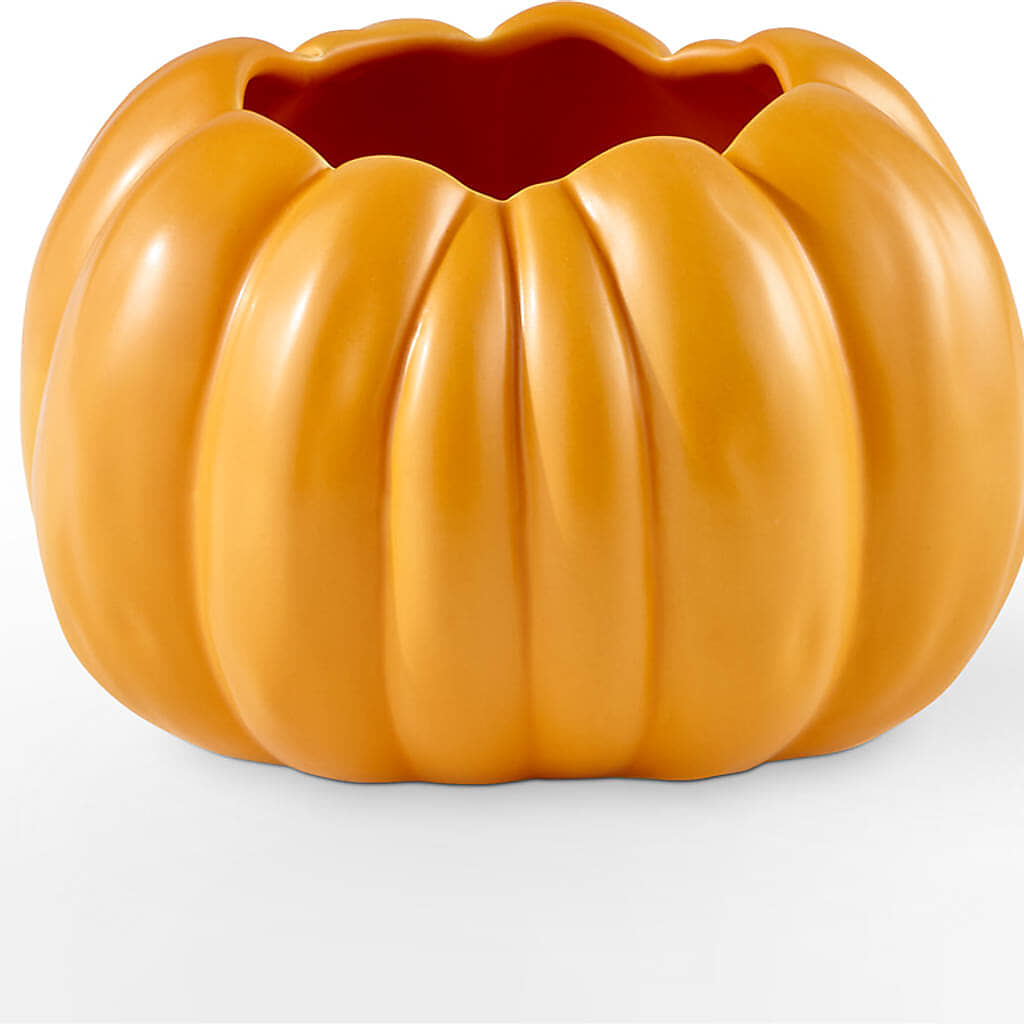 Golden Gourd Pumpkin Bouquet –  Cg Rain Florist, Cedar Grove NJ