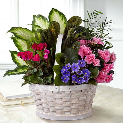 Peaceful Garden Planter –  Cg Rain Florist, Cedar Grove NJ