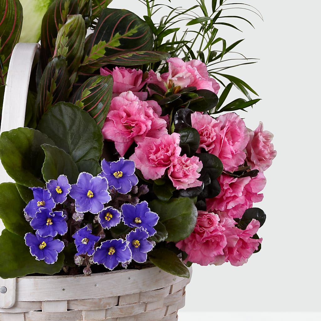 Peaceful Garden Planter –  Cg Rain Florist, Cedar Grove NJ