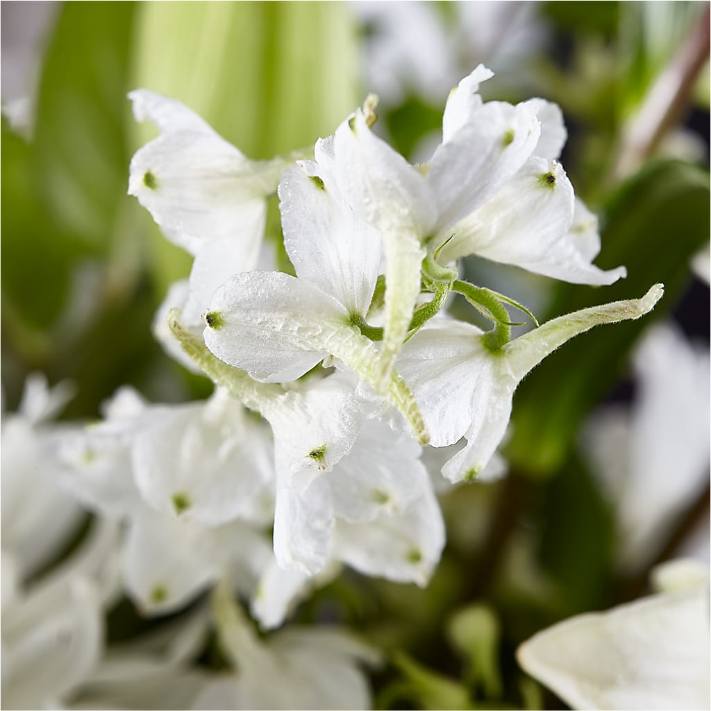 Classic Ivory – A Florist Original –  Cg Rain Florist, Cedar Grove NJ