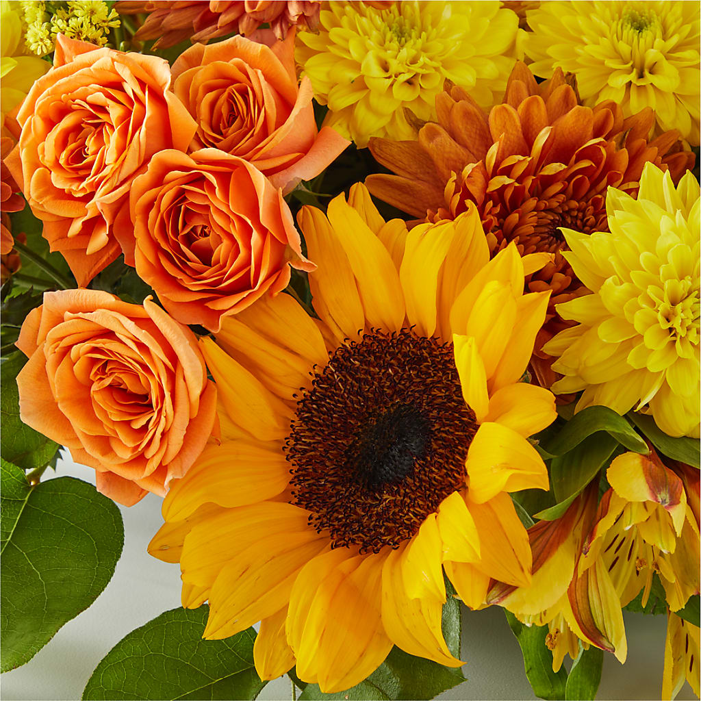 Autumn Harmony Centerpiece –  Cg Rain Florist, Cedar Grove NJ